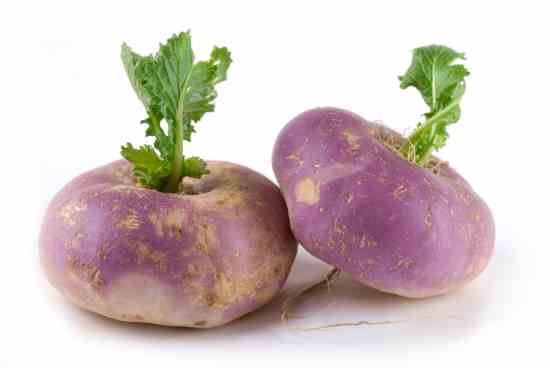 
"Free food is needed by many today," said Trusten Holder in 1985. His solution? Turnips! Read about him and two other extraordinary individuals in this article, and click through the image gallery for additional photos.
